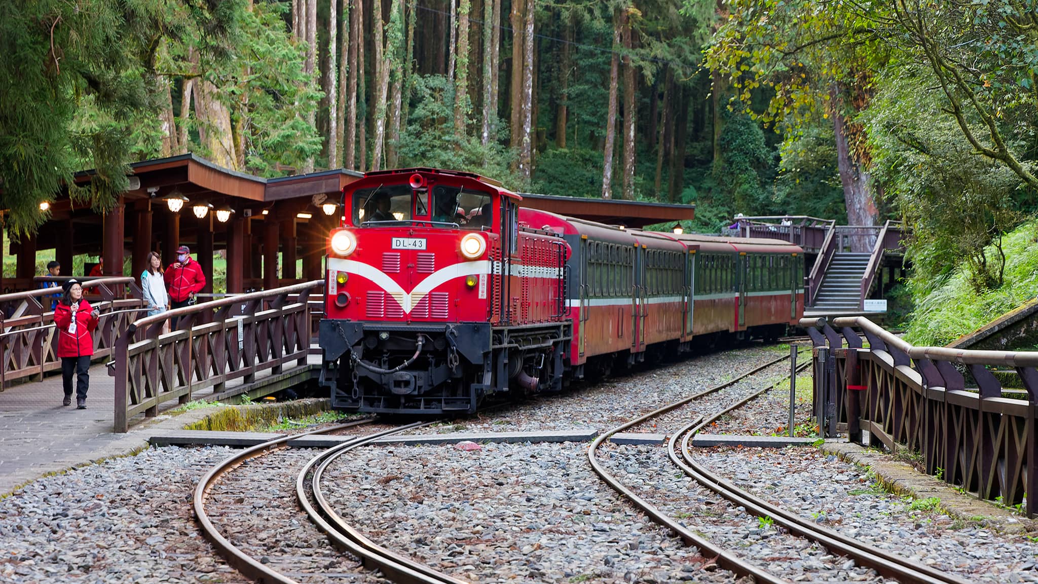 05 - Alishan (47).jpg